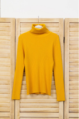 Водолазка жіноча